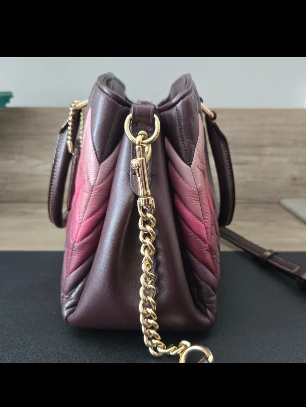 COACH MINI SAGE OMBRE' CARRYALL - Picture 3 of 11